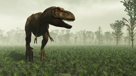 Tyrannosaurus rex