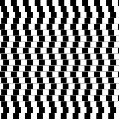 illusion