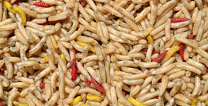 larves de mouche