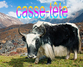 casse-tête 2