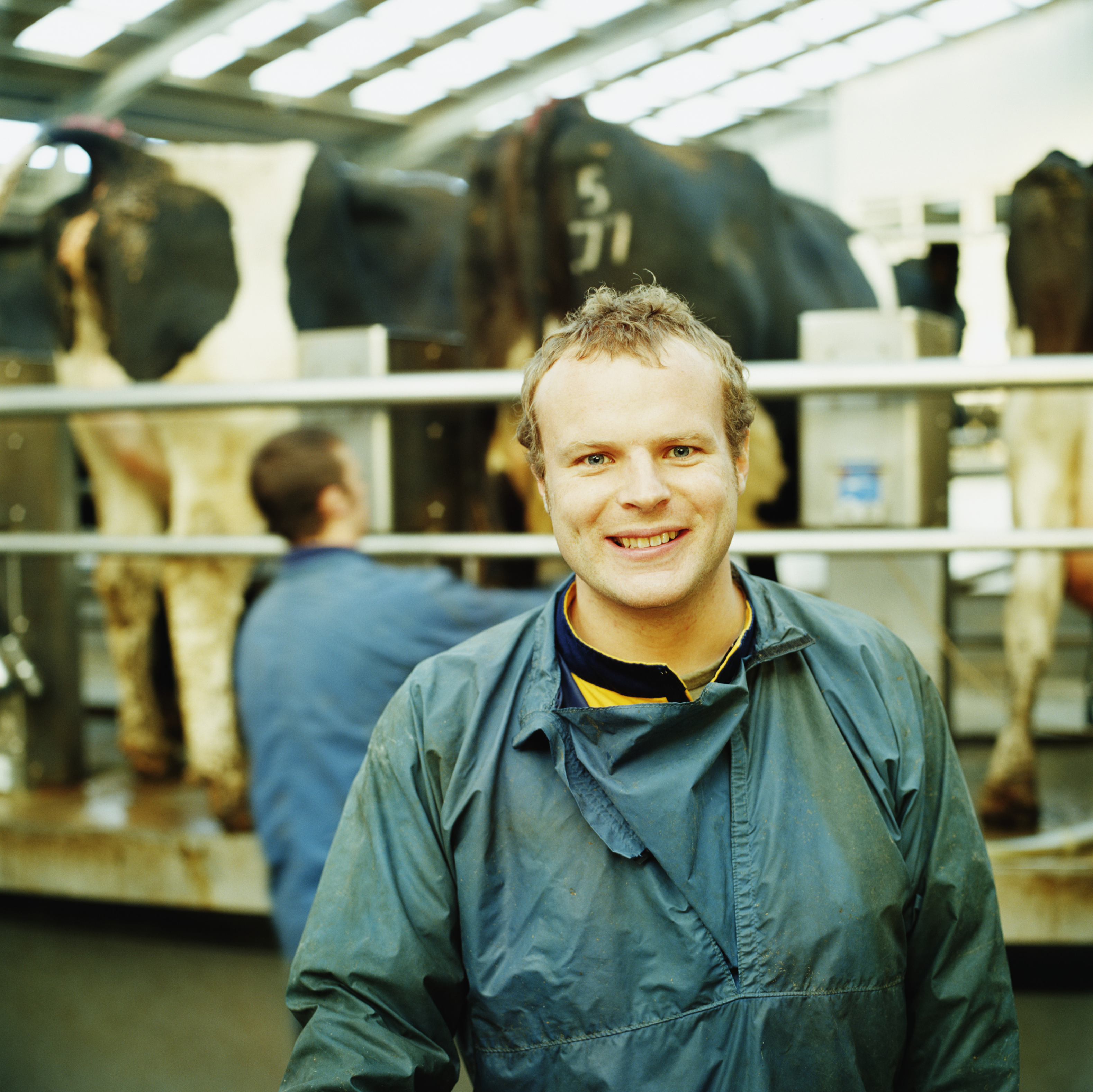 ferme bovine