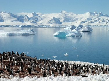 antarctique