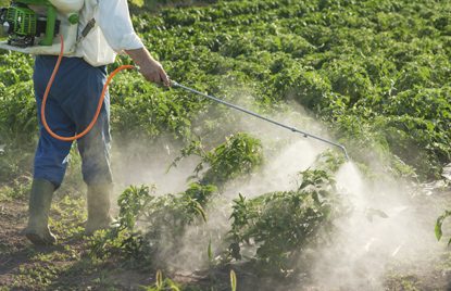 Les pesticides